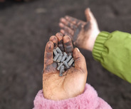 Eine Hand hält mehrere kleine, graue Stücke, die schmutzig sind. Die Hand ist mit Erde und Schmutz bedeckt. Im Hintergrund ist eine weitere Hand zu sehen, ebenfalls schmutzig, die in eine andere Richtung zeigt.