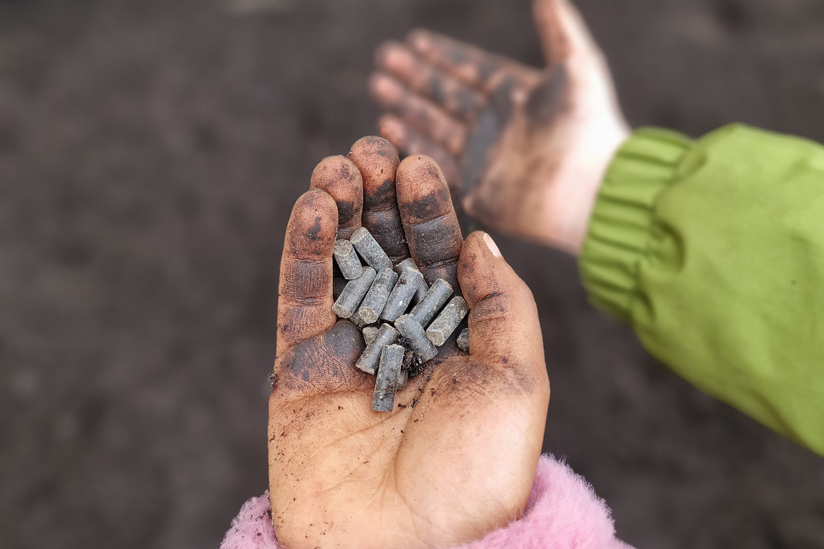 Eine Hand hält mehrere kleine, graue Stücke, die schmutzig sind. Die Hand ist mit Erde und Schmutz bedeckt. Im Hintergrund ist eine weitere Hand zu sehen, ebenfalls schmutzig, die in eine andere Richtung zeigt.