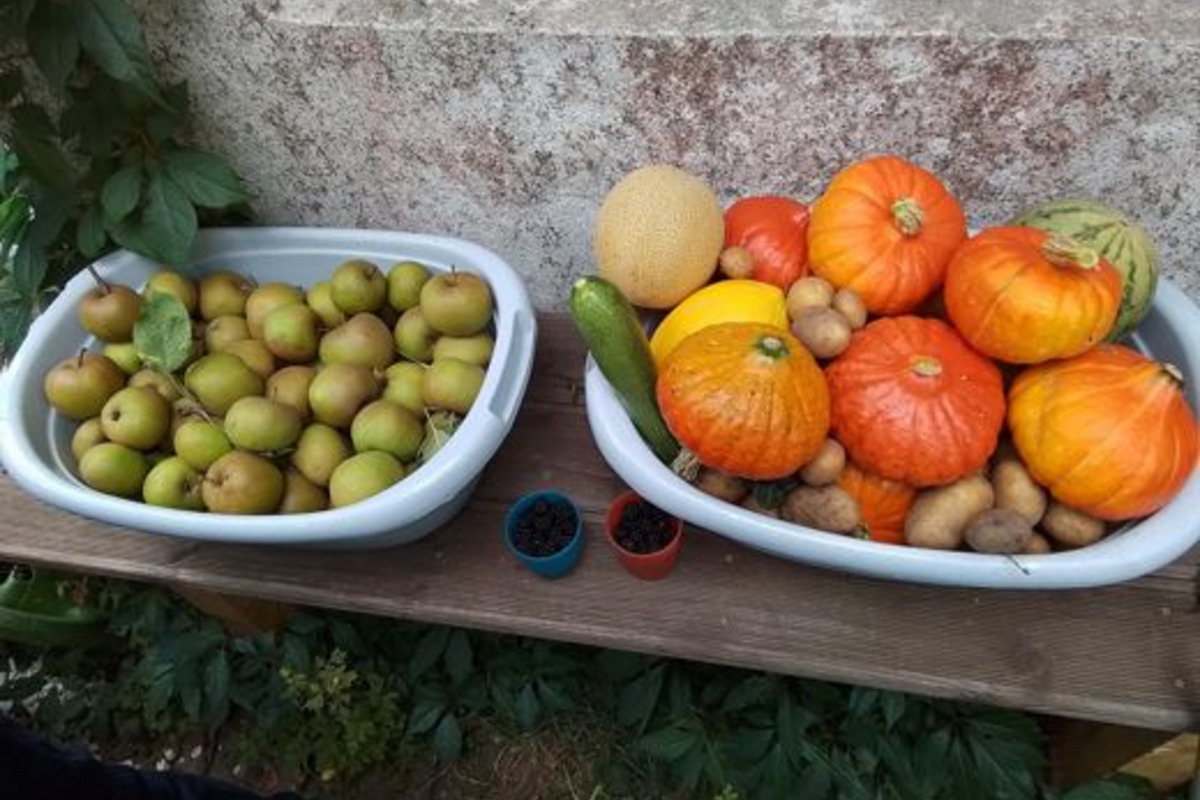 Auf einem Tisch stehen zwei große Schalen mit frischen Früchten und Gemüse. Links befinden sich grüne Äpfel, rechts Kürbisse in verschiedenen Farben, darunter orange, gelb und grün, sowie eine Melone und eine Zucchini. 