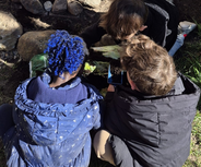 Drei Kinder, die auf dem Boden sitzen und an einer Pflanze oder einem Naturobjekt interessiert sind. Eines der Kinder hält ein Handy, um etwas zu fotografieren oder zu filmen. Sie sind umgeben von Steinen und Gras in einer natürlichen Umgebung.