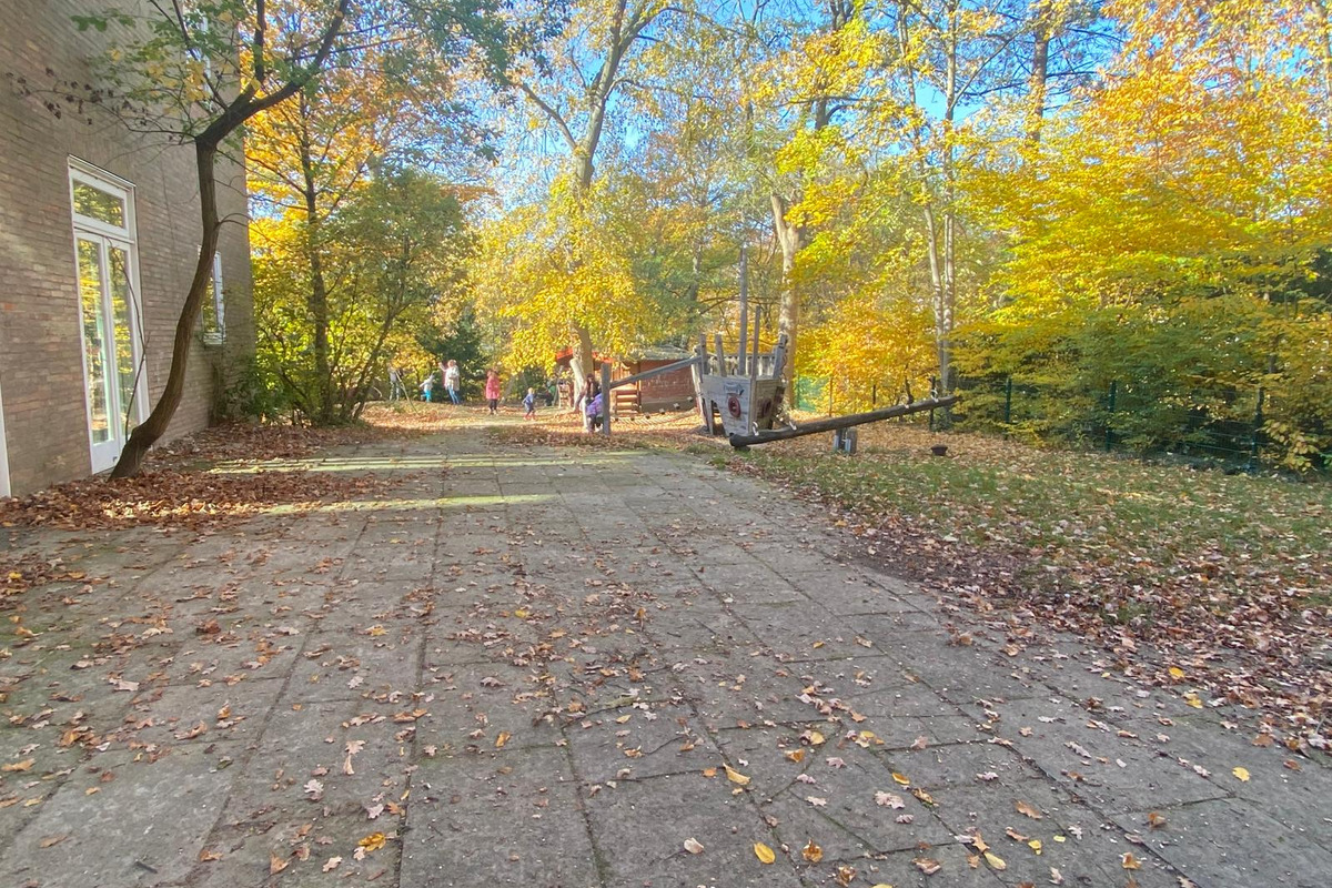 Ein herbstlicher Außenbereich mit Laub auf dem Boden. Auf einem Weg sind mehrere Kinder zu sehen, die in Richtung eines Spielplatzes gehen, umgeben von bunten, herbstlichen Bäumen im Hintergrund. 