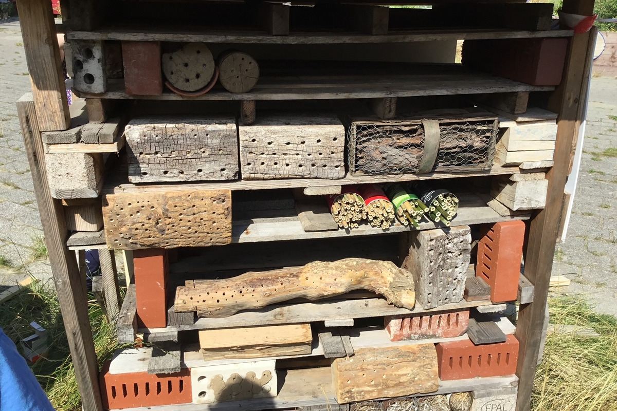 Das Bild zeigt ein Insektenhotel, das aus verschiedenen Holz- und Betonbausteinen besteht. Die Struktur ist so gestaltet, dass sie Lebensräume für nützliche Insekten bietet. Es sind mehrere Kammern mit unterschiedlichen Materialien zur Förderung der Artenvielfalt sichtbar.