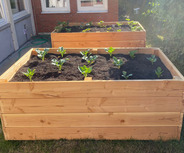 Zwei Hochbeete aus Holz stehen in einem Garten. Eines ist mit jungen Pflanzen wie Brokkoli und Salat bepflanzt. Der Boden ist mit schwarzer Erde gefüllt. Im Hintergrund sind grüne Pflanzen und eine Wand zu sehen.