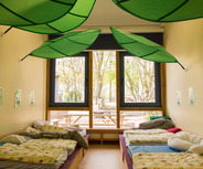 Ein gemütlicher Raum mit mehreren Betten und bunten Bettdecken. An der Decke hängen große, grüne Blätter. Die Fenster bieten einen Blick auf einen Außenbereich mit Bäumen und einer Sitzgelegenheit. An der Wand sind einige Bilder angebracht.