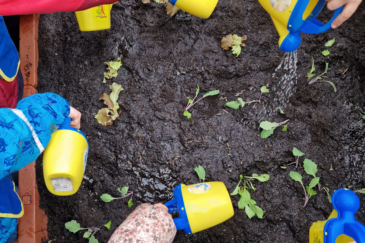 Kinder gießen mit gelben Gießkanne frische Setzlinge in einem Hochbeet. Die Erde ist dunkel und die Pflanzenblätter sind grün. Die Hände sind in bunten Jacken gehüllt, während sie Wasser auf die Pflanzen sprühen.