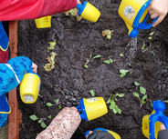 Kinder gießen mit gelben Gießkanne frische Setzlinge in einem Hochbeet. Die Erde ist dunkel und die Pflanzenblätter sind grün. Die Hände sind in bunten Jacken gehüllt, während sie Wasser auf die Pflanzen sprühen.