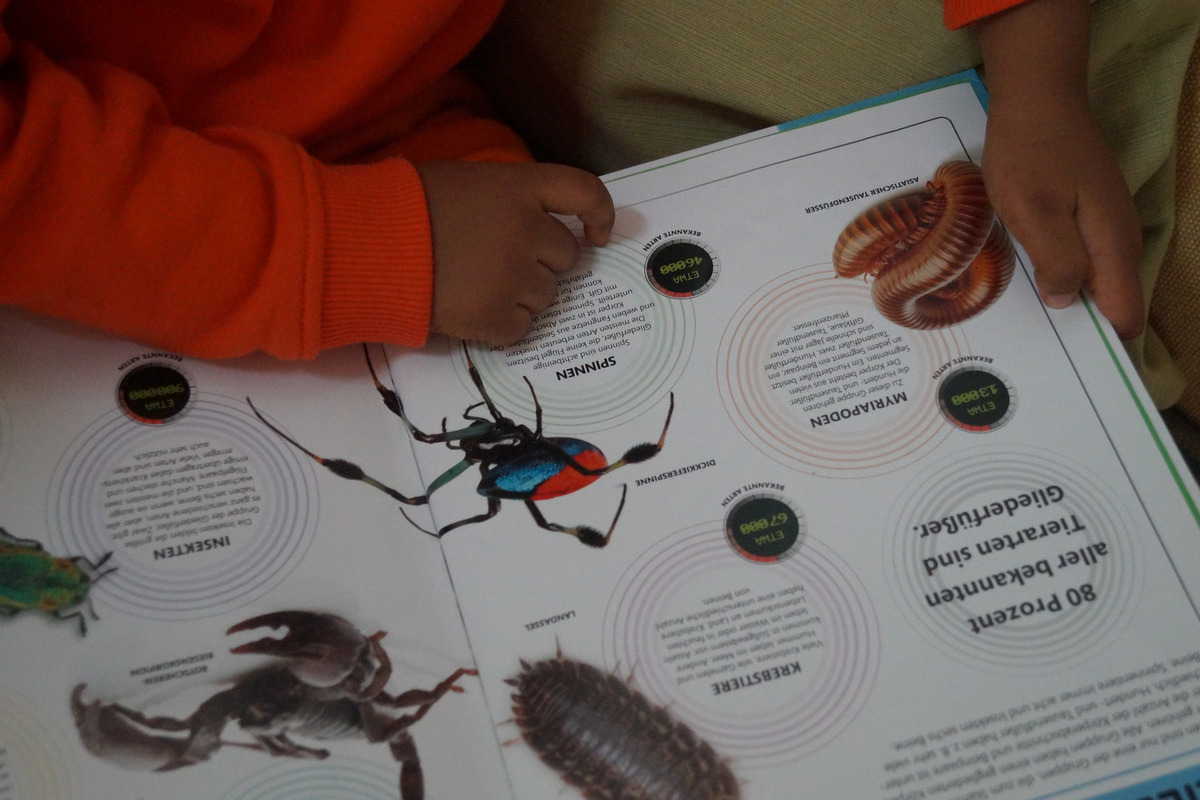 Ein Kind blättert in einem Buch über Insekten und andere Arthropoden.