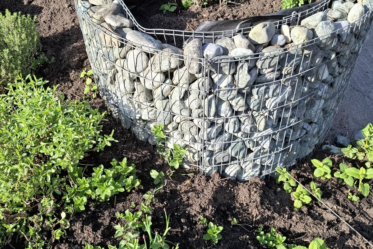 Ein runder Hochbeet aus Steinen und Draht, gefüllt mit frischen Kräutern wie Thymian, Pfefferminze und Oregano. Die Umgebung ist gut gepflegt und der Boden ist dunkel und feucht. Im Hintergrund sind einige bunte Pflanzgefäße zu sehen.