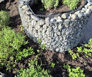 Ein runder Hochbeet aus Steinen und Draht, gefüllt mit frischen Kräutern wie Thymian, Pfefferminze und Oregano. Die Umgebung ist gut gepflegt und der Boden ist dunkel und feucht. Im Hintergrund sind einige bunte Pflanzgefäße zu sehen.