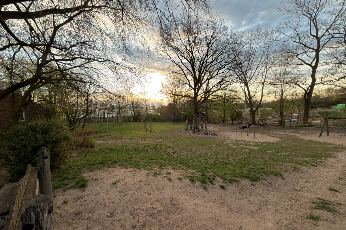 Eine weitläufige Grünfläche mit Bäumen im Vordergrund. Im Hintergrund ist ein Spielplatz mit mehreren Geräten zu sehen. Der Boden besteht aus Sand und Gras.