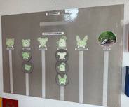 Das Bild zeigt ein Tafel-Organisationssystem für Gruppenaktivitäten. Links sind die Vormittagsgruppen „Katzengruppe“, „Bärchengruppe“ und „Mäusegruppe“ aufgeführt. Rechts befinden sich die Nachmittagsgruppen und ein Bild eines Gartens mit Rutsche, gekennzeichnet mit „Garten“.