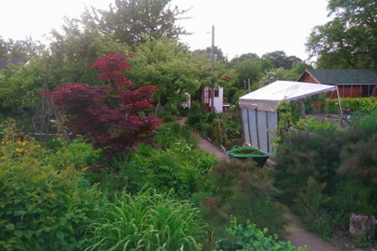 Ein üppiger Garten mit bunten Pflanzen und Sträuchern. Im Vordergrund steht ein roter Baum, während ein Weg durch den Garten führt. Im Hintergrund sind Gartenhäuser und ein Gewächshaus sichtbar. 