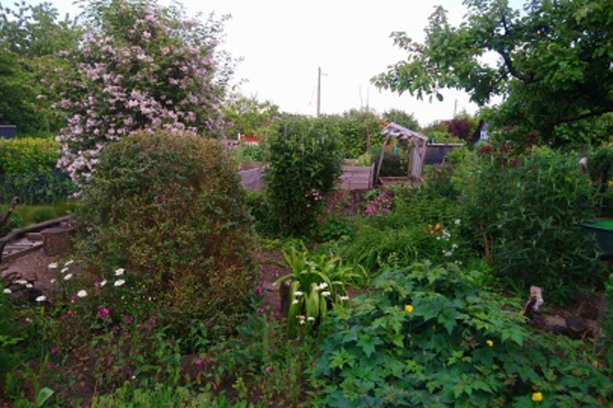 Ein bunter Garten mit verschiedenen Pflanzen und Blumen. Im Hintergrund sind Bäume und einige Gartenstrukturen zu sehen. Eine Person ist mit einer Schaufel beschäftigt. 