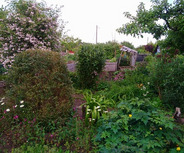 Ein bunter Garten mit verschiedenen Pflanzen und Blumen. Im Hintergrund sind Bäume und einige Gartenstrukturen zu sehen. Eine Person ist mit einer Schaufel beschäftigt. 