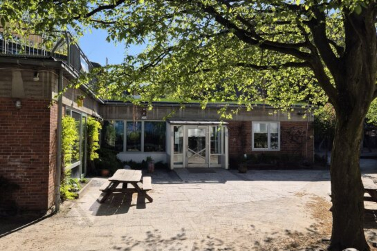 Ein einladender Innenhof mit einem großen, schattenspendenden Baum und einem Tisch. Im Hintergrund steht ein Gebäude mit großen Fenstern und Eingangstüren. Der Himmel ist klar und sonnig, und der Boden ist teilweise mit Sand bedeckt.