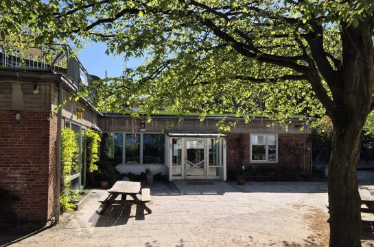 Ein einladender Innenhof mit einem großen, schattenspendenden Baum und einem Tisch. Im Hintergrund steht ein Gebäude mit großen Fenstern und Eingangstüren. Der Himmel ist klar und sonnig, und der Boden ist teilweise mit Sand bedeckt.