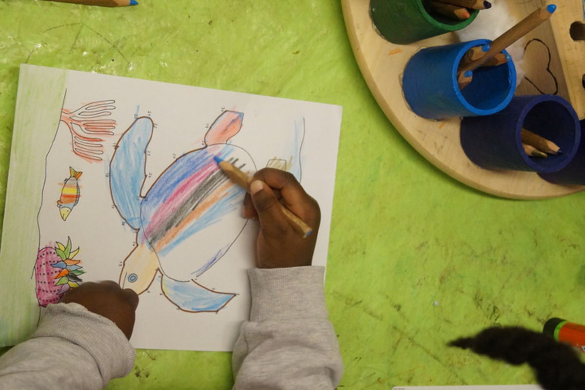 Ein Kind malt mit Buntstiften eine bunte Schildkröte auf Papier. Die Zeichnung zeigt Details wie Fische und Pflanzen. 