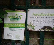 Ein Holzzaun mit zwei Schildern. Links steht „Kleine Forscher“ und informiert über die Einrichtung „Haus der kleinen Forscher“. Rechts befindet sich das Schild „Paradieschen“, das den Lern- und Gartenbereich der Kita Ev. Friedensgemeinde beschreibt.