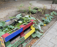 Ein bunter Hochbeet aus Holz steht in einem Garten. Darin wachsen verschiedene Pflanzen, darunter Kürbisse und anderes Gemüse. Der Boden ist mit Erde und etwas Laub bedeckt. Im Hintergrund gibt es einen Kinderspielplatz mit einer Rutsche und einer Schaukel.