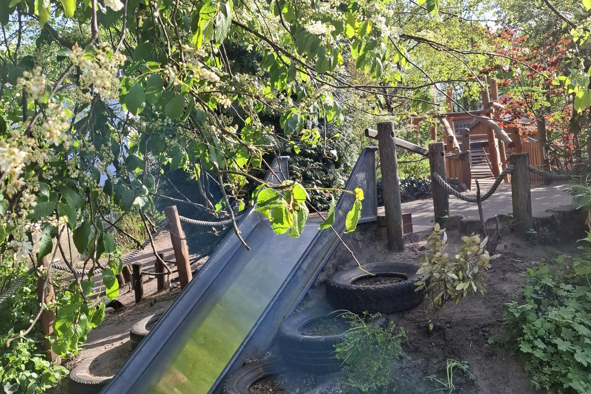 Eine Rutsche aus Metall mit einem sanften Gefälle, umgeben von grünem Gras und alten Reifen. Im Hintergrund ist ein Spielplatz mit Holzkonstruktionen sichtbar. Bäume und Sträucher mit Blüten und Blättern rahmen die Szene ein, was eine naturnahe Atmosphäre schafft.