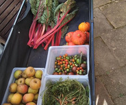 Ein Wagen enthält frisches Gemüse und Obst. Oben liegen grüne Mangoldblätter. Darunter befinden sich zwei Behälter mit bunten, kleinen Tomaten. Außerdem sind Äpfel und frische Karotten zu sehen. Im Wagen befinden sich auch zwei Kürbisse. Der Hintergrund zeigt gepflasterten Boden.