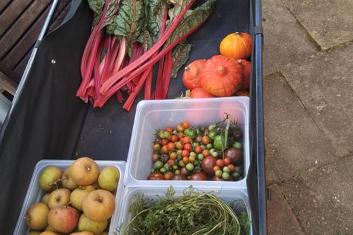 Ein Wagen enthält frisches Gemüse und Obst. Oben liegen grüne Mangoldblätter. Darunter befinden sich zwei Behälter mit bunten, kleinen Tomaten. Außerdem sind Äpfel und frische Karotten zu sehen. Im Wagen befinden sich auch zwei Kürbisse. Der Hintergrund zeigt gepflasterten Boden.